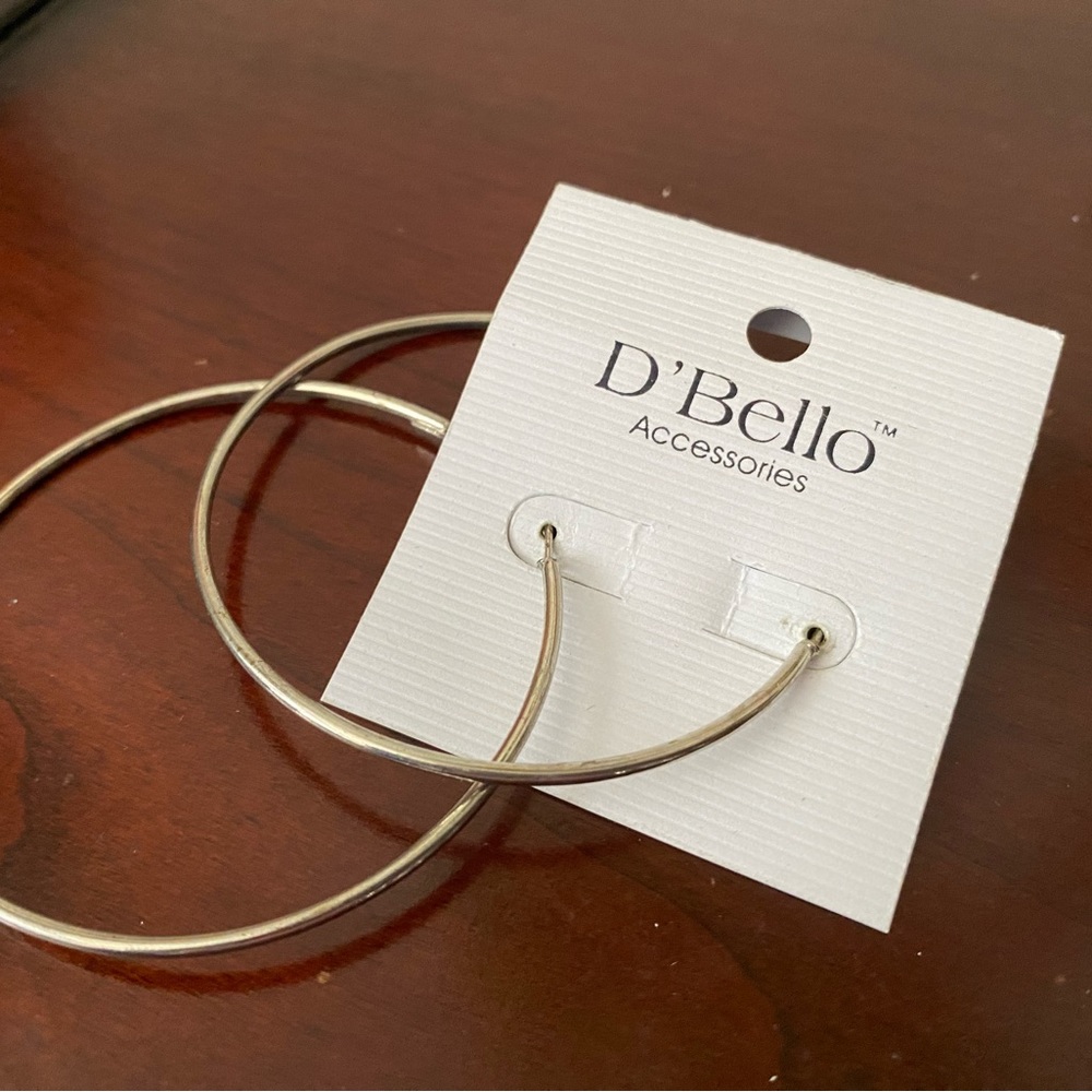 Silver Hoop Earrings